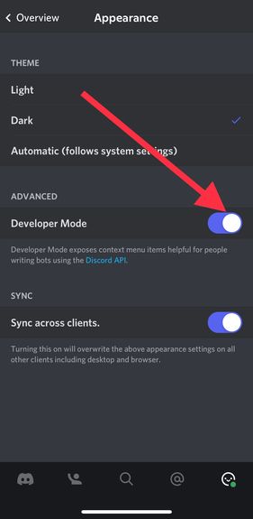 How to turn on Dev Mode Discord?